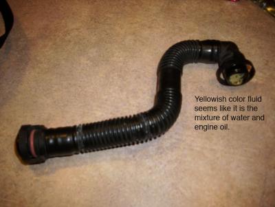 post-63813-0-51019400-1295926606_thumb.j