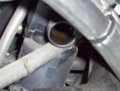 post-78310-0-51755600-1357435466_thumb.j