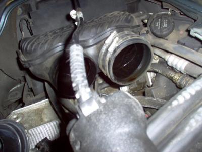 post-78310-0-56879900-1357435464_thumb.j