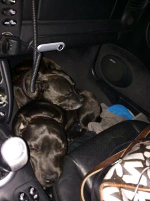 post-32491-0-32391500-1391008446_thumb.j