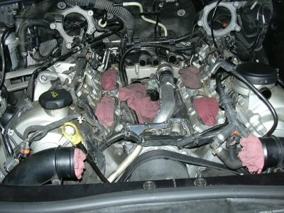 post-40009-0-67295600-1298858632_thumb.j