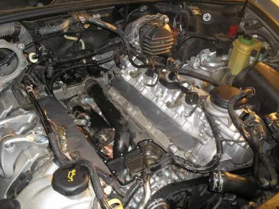 post-63813-0-14591500-1297304877_thumb.j