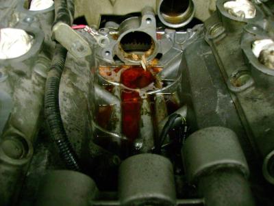 post-63813-0-44236200-1298602324_thumb.j