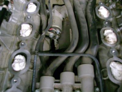 post-63813-0-50573800-1298602296_thumb.j