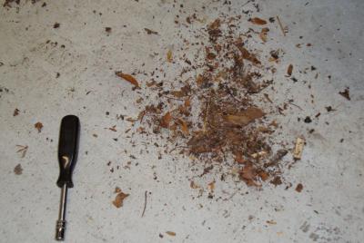 post-30824-0-70135400-1360333540_thumb.j