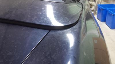 post-105407-0-97925000-1456371575_thumb.