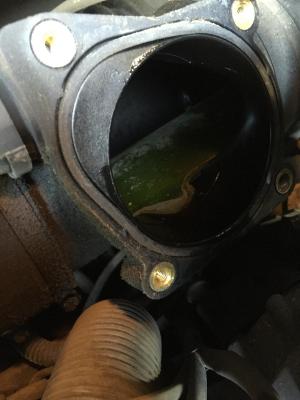 post-70804-0-68036300-1455988479_thumb.j