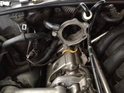 post-62329-0-87697200-1363348404_thumb.j