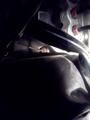 post-70495-0-90290200-1362881413_thumb.j