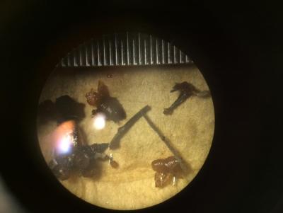 post-91409-0-06659700-1395881846_thumb.j