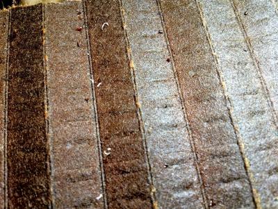 post-91409-0-46423700-1395881808_thumb.j