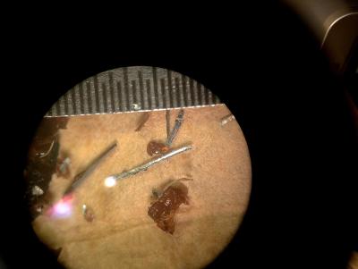 post-91409-0-89772400-1395881679_thumb.j