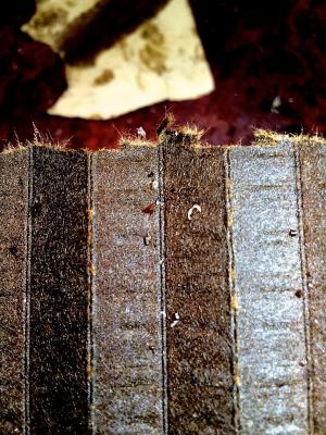 post-91409-0-93132200-1395881723_thumb.j