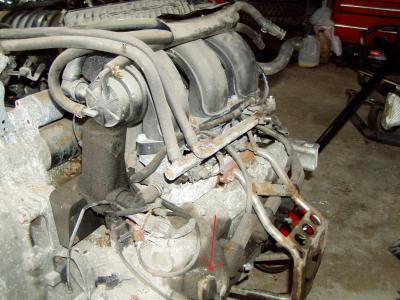 post-7011-0-39066600-1302827437_thumb.jp