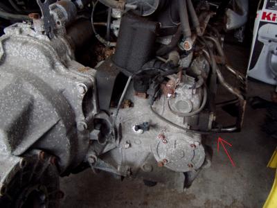 post-7011-0-70545500-1302827461_thumb.jp