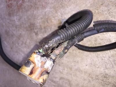 post-99896-0-31510400-1430164326_thumb.j