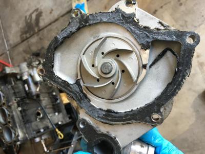 post-97806-0-44807400-1460914416_thumb.j