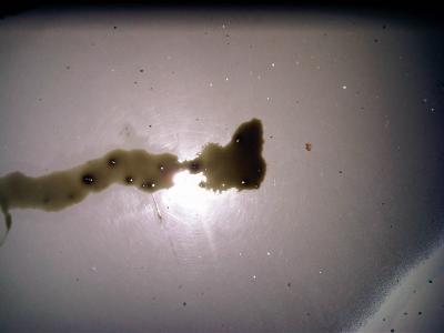 post-69322-0-77223900-1305312914_thumb.j