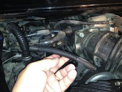 post-81033-0-61030600-1337459418_thumb.j