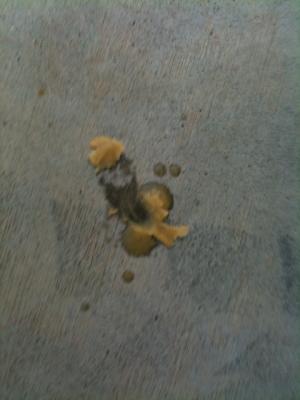 post-62596-0-85017500-1309230551_thumb.j