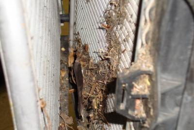 post-30824-0-39401000-1404355419_thumb.j