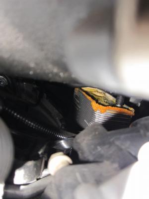 post-60279-059694200 1281564488_thumb.jp