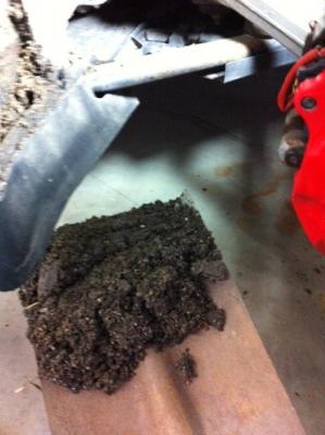 post-80157-0-23022800-1344345185_thumb.j