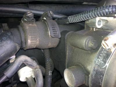 post-59175-0-08831000-1347141561_thumb.j