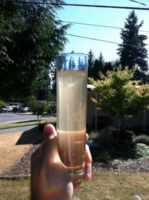 post-73335-0-40367400-1346537911_thumb.j