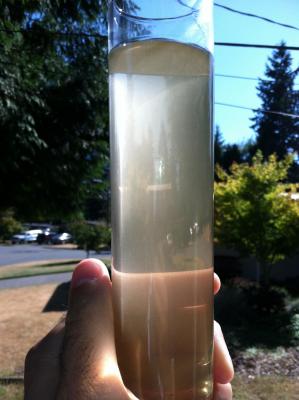 post-73335-0-97414900-1346537899_thumb.j