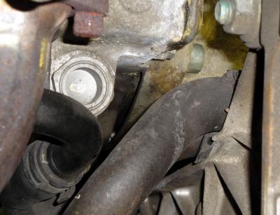 post-7493-0-43826300-1378670698_thumb.jp