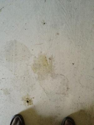 post-25418-0-26839400-1319652049_thumb.j