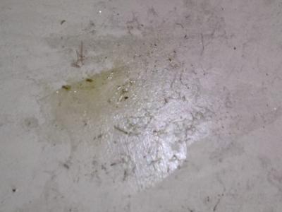 post-25418-0-49220500-1319652061_thumb.j