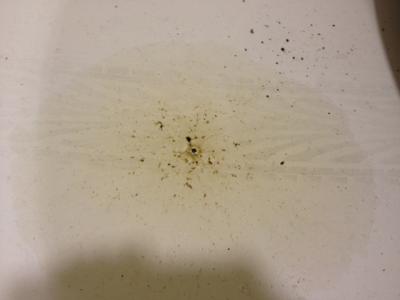 post-25418-0-78312100-1319652071_thumb.j