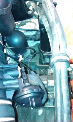 post-78135-0-34749200-1353597992_thumb.j