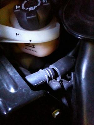 post-25451-0-64684700-1291172403_thumb.j