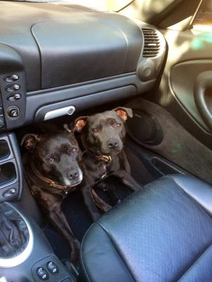 post-32491-0-04381400-1387842098_thumb.j