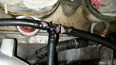 post-77547-0-27523700-1450181725_thumb.j