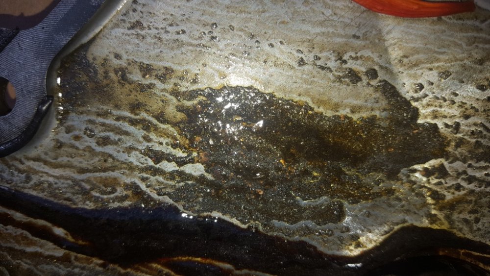 20161025_110820 (576x1024).jpg