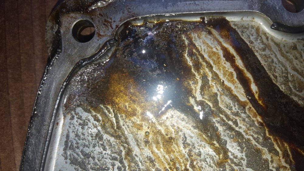 20161025_110830 (576x1024).jpg