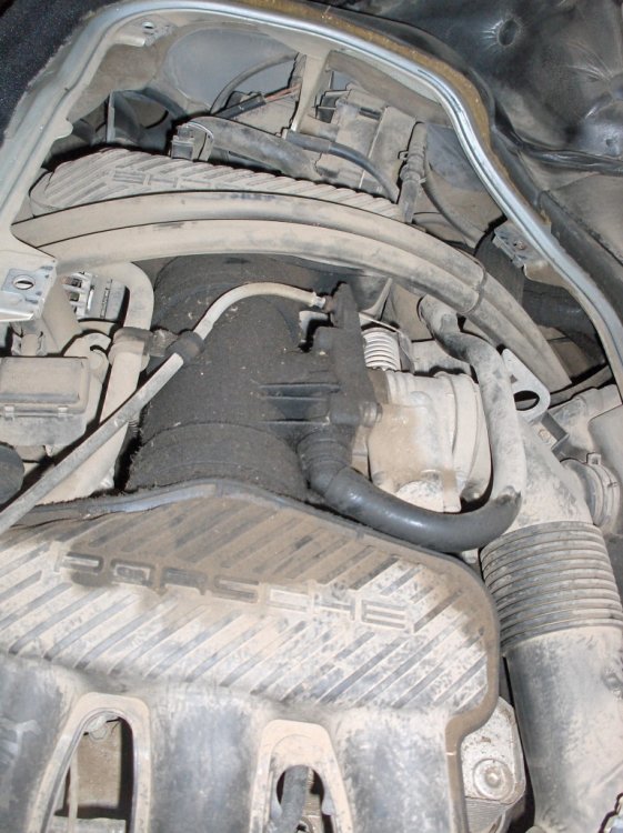 HPIM4954 (Medium).JPG