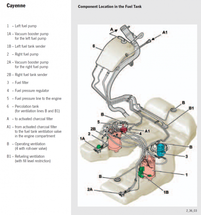 Cayenne fuel pumps.png