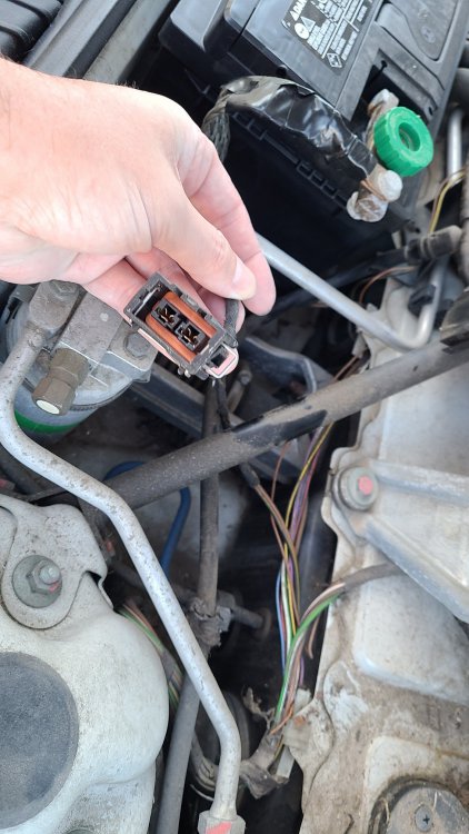 20211115_111856 1.jpg