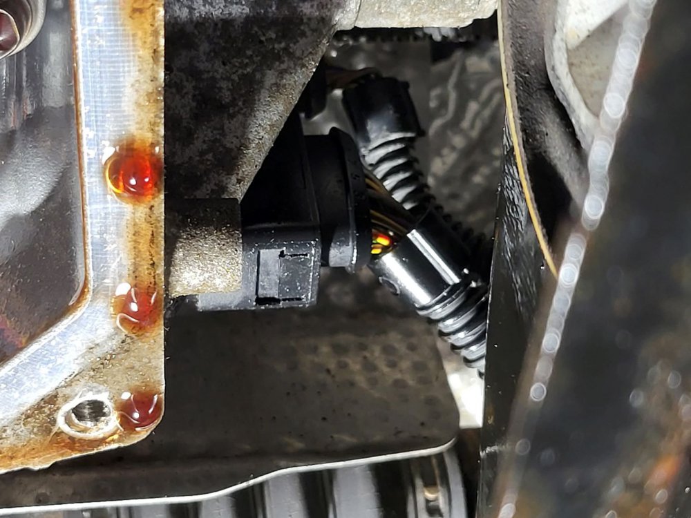 20220305_141004 (002).jpg